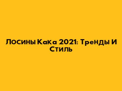 Лосины Кака 2021:  Тренды И Стиль