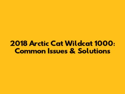 2018 Arctic Cat Wildcat 1000: Common Issues & Solutions