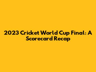 2023 Cricket World Cup Final: A Scorecard Recap