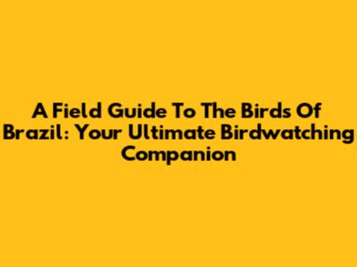 A Field Guide To The Birds Of Brazil: Your Ultimate Birdwatching Companion