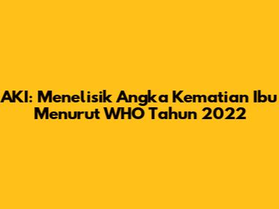 AKI: Menelisik Angka Kematian Ibu Menurut WHO Tahun 2022