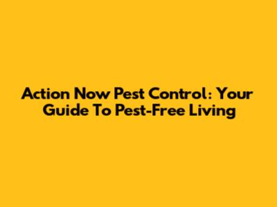 Action Now Pest Control: Your Guide To Pest-Free Living