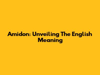 Amidon: Unveiling The English Meaning