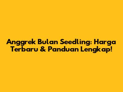 Anggrek Bulan Seedling: Harga Terbaru & Panduan Lengkap!
