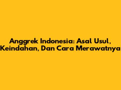 Anggrek Indonesia: Asal Usul, Keindahan, Dan Cara Merawatnya