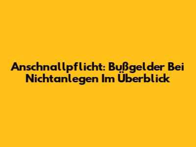 Anschnallpflicht: Bußgelder Bei Nichtanlegen Im Überblick