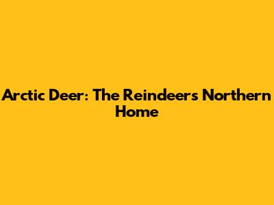 Arctic Deer: The Reindeer's Northern Home