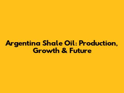 Argentina Shale Oil: Production, Growth & Future