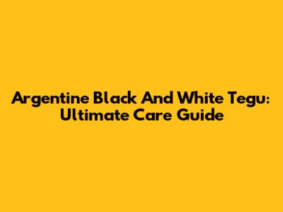 Argentine Black And White Tegu: Ultimate Care Guide