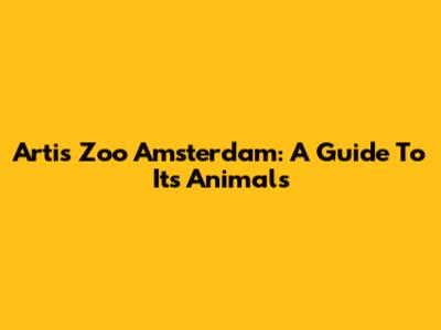 Artis Zoo Amsterdam: A Guide To Its Animals