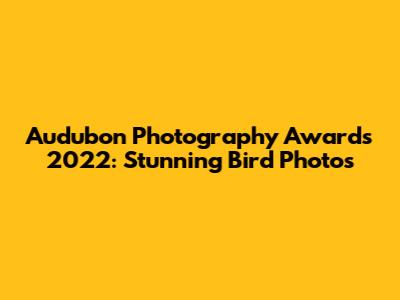 Audubon Photography Awards 2022: Stunning Bird Photos