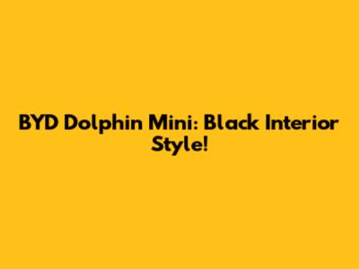 BYD Dolphin Mini: Black Interior Style!