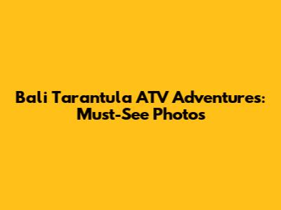 Bali Tarantula ATV Adventures: Must-See Photos