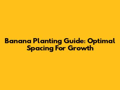 Banana Planting Guide: Optimal Spacing For Growth