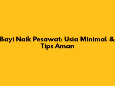 Bayi Naik Pesawat: Usia Minimal & Tips Aman