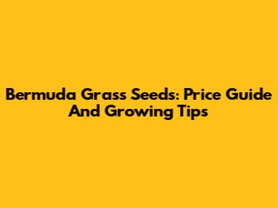 Bermuda Grass Seeds: Price Guide And Growing Tips