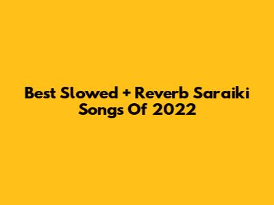 Best Slowed + Reverb Saraiki Songs Of 2022