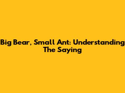 Big Bear, Small Ant: Understanding The Saying