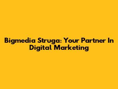Bigmedia Struga: Your Partner In Digital Marketing
