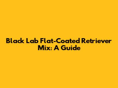 Black Lab Flat-Coated Retriever Mix: A Guide