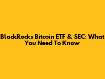 BlackRock's Bitcoin ETF & SEC: What You Need To Know