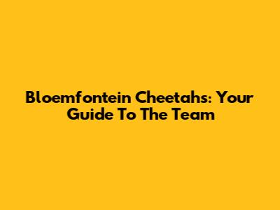 Bloemfontein Cheetahs: Your Guide To The Team