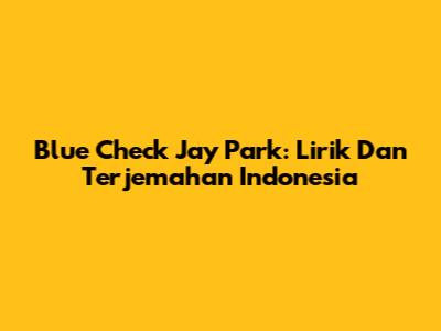 Blue Check Jay Park: Lirik Dan Terjemahan Indonesia