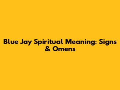 Blue Jay Spiritual Meaning: Signs & Omens