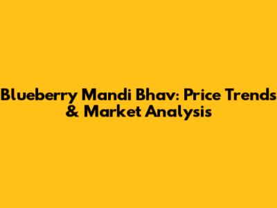 Blueberry Mandi Bhav: Price Trends & Market Analysis