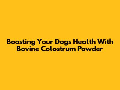 Boosting Your Dog's Health With Bovine Colostrum Powder