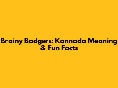 Brainy Badgers: Kannada Meaning & Fun Facts