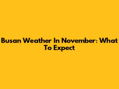 Busan Weather In November: What To Expect