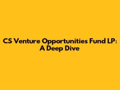 CS Venture Opportunities Fund LP: A Deep Dive