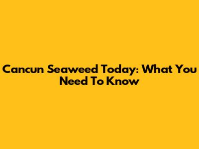 Cancun Seaweed Today: What You Need To Know