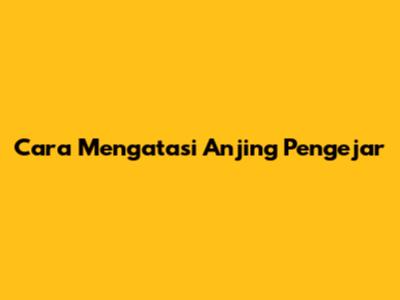Cara Mengatasi Anjing Pengejar