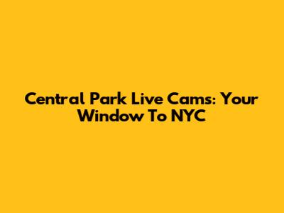 Central Park Live Cams: Your Window To NYC