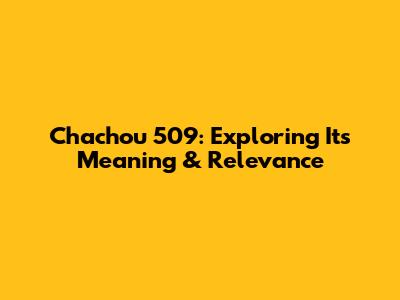 Chachou 509: Exploring Its Meaning & Relevance
