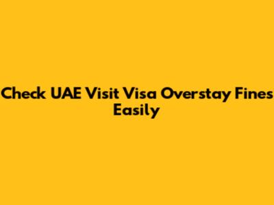 Check UAE Visit Visa Overstay Fines Easily