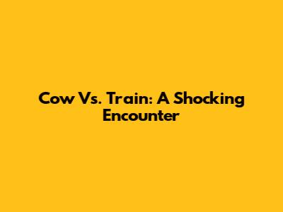 Cow Vs. Train: A Shocking Encounter