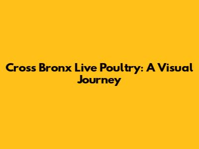 Cross Bronx Live Poultry: A Visual Journey