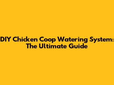 DIY Chicken Coop Watering System: The Ultimate Guide