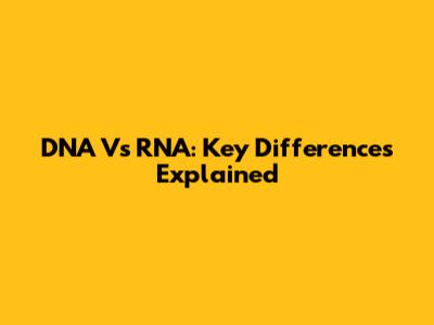 DNA Vs RNA: Key Differences Explained