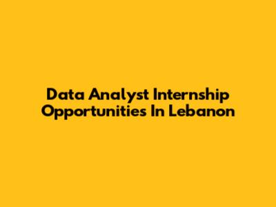 Data Analyst Internship Opportunities In Lebanon