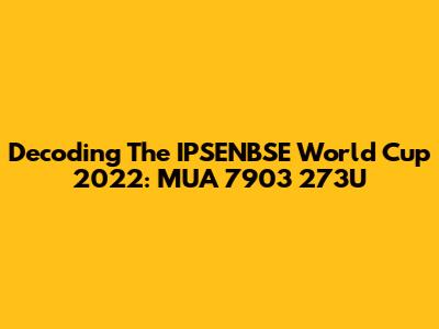 Decoding The IPSENBSE World Cup 2022: MUA 7903 273U