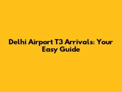 Delhi Airport T3 Arrivals: Your Easy Guide