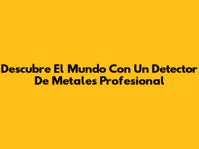 Descubre El Mundo Con Un Detector De Metales Profesional