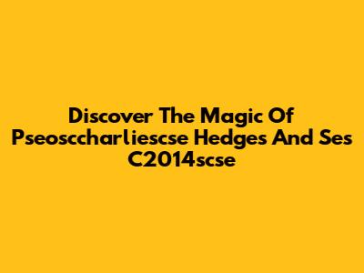 Discover The Magic Of Pseosccharliescse Hedges And Ses C2014scse