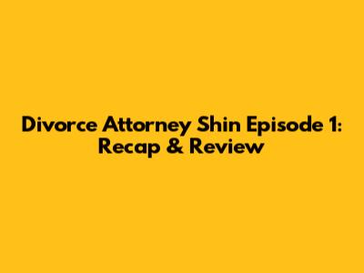 Divorce Attorney Shin Episode 1: Recap & Review