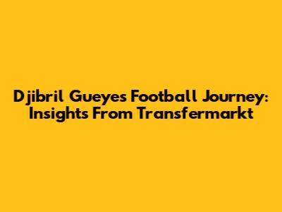 Djibril Gueye's Football Journey: Insights From Transfermarkt