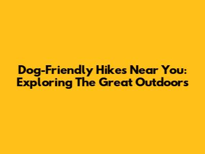 Dog-Friendly Hikes Near You: Exploring The Great Outdoors